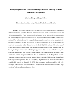 First principles studies of the size and shape