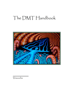 The DMT Handbook - DMT