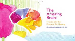 The Amazing Brain - Institute for Safe Families