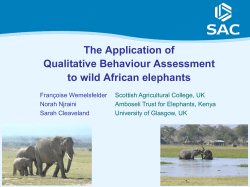 The Application of Qualitative Behaviour Assessment to wild African