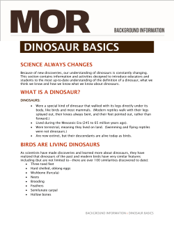 DINOSAUR BASICS - museumoftherockies.org