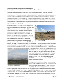 Section 3: Squaw Flat to Lost Forest, 28 miles