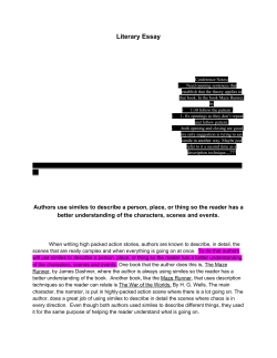 Literary Essay Author Theory