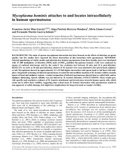 Mycoplasma hominis attaches to and locates