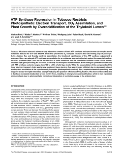 ATP Synthase Repression in Tobacco Restricts