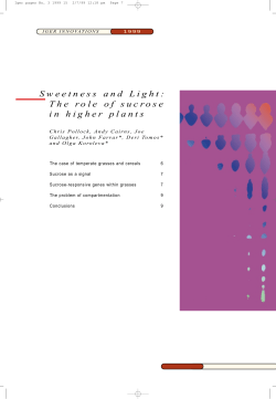 Sweetness and Light: The role of sucrose in higher plants