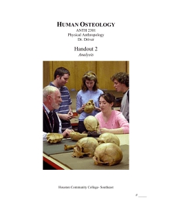 human osteology - HCC Learning Web
