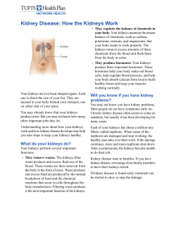 Kidney Disease: How the Kidneys Work