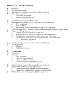 Lecture 10: Cell Cycle and Cell Division