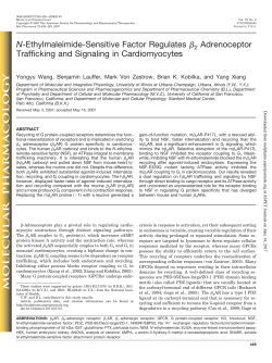 N-Ethylmaleimide-Sensitive Factor Regulates Я2 Adrenoceptor