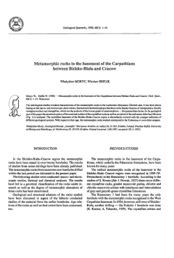 Metamorphic rocks in the basement of the Carpathians between