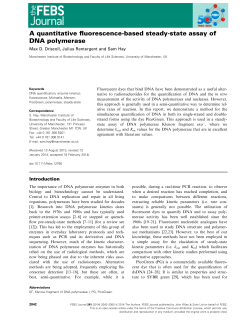 A quantitative fluorescence‐based steady‐state assay of DNA