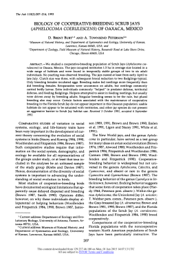 biology of cooperative-breeding scrub jays