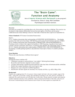 The &ldquo;Brain Game&rdquo;: Function and Anatomy