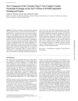 New Component of the Vacuolar Class C