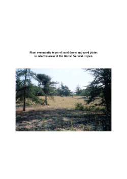 Plant community types of sand dunes and sand