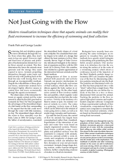 Fish Lauder - Harvard University