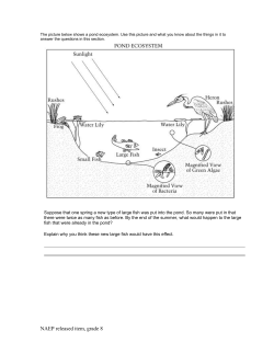 Questions 1-13 The picture below shows a pond ecosystem
