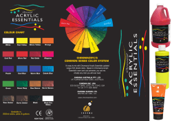 Acrylic Essentials Color Chart 318.57 kB