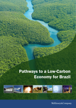 Pathways to a Low-Carbon Economy for Brazil