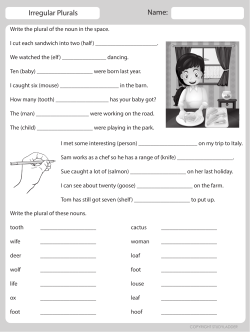 Irregular Plurals worksheet