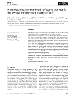 Plant roots release phospholipid surfactants that modify the physical