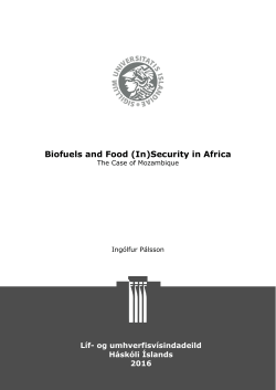 Biofuels and Food (In)Security in Africa