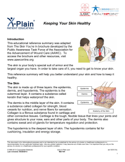 Keeping Your Skin Healthy