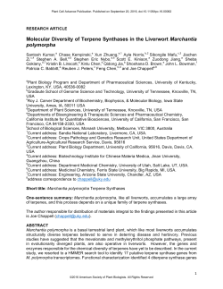 Molecular Diversity of Terpene Synthases in the Liverwort