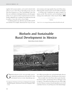 Biofuels and Sustainable Rural Development in Mexico