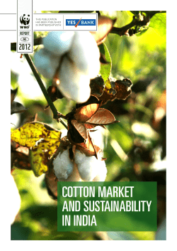 cotton market and sustainability in india - WWF