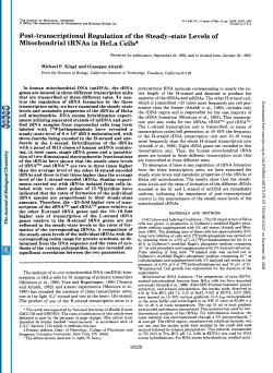 Post-transcriptional Regulation of the Steady
