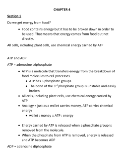 Food contains energy but it has to be broken down in order to be