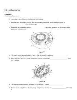 Cell Unit Practice Test