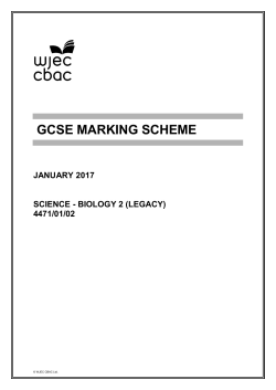 gcse marking scheme
