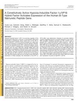 A Constitutively Active Hypoxia-Inducible Factor