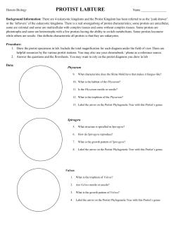 PROTIST LABTURE