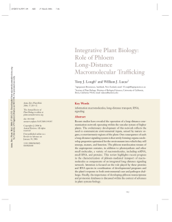 INTEGRATIVE PLANT BIOLOGY: Role of Phloem Long