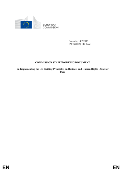 Commission staff working document on Implementing the UN