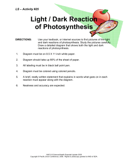 Light / Dark Reaction of Photosynthesis - Circle