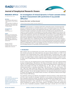 An investigation of mineral dynamics in frozen seawater brines by