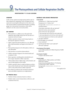 9 The Photosynthesis and Cellular Respiration Shuffle