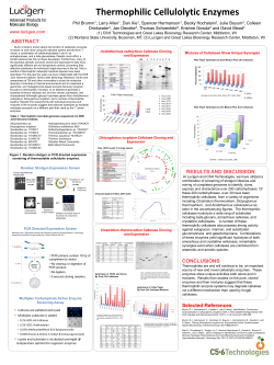 Thermophilic Cellulolytic Enzymes