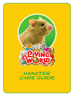 HAMSTER CARE GUIDE
