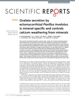 Oxalate secretion by ectomycorrhizal Paxillus involutus is mineral