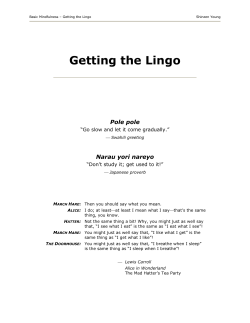 Getting the Lingo