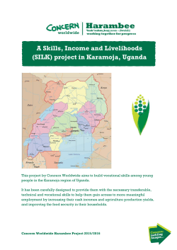 A Skills, Income and Livelihoods (SILK)