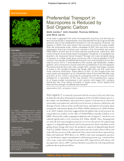 Preferential Transport in Macropores is Reduced by Soil Organic