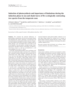 Induction of photosynthesis and importance of