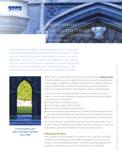 Five Guiding Principles for Audit Committees